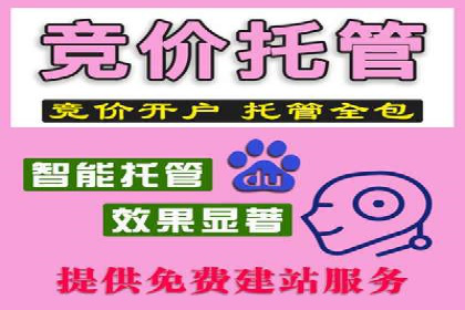 揭秘竞价推广公司：实战案例分享